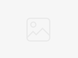 Devendra Fadnavis: आता शहरी नक्षलवाद खिळखिळा होणार! विधानसभेत ‘जनसुरक्षा विधेयक’ मंजूर